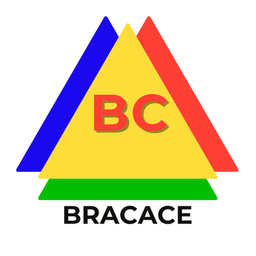 bracace.cl mobilidario junji