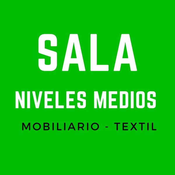 bracace.cl Sala Niveles Medios