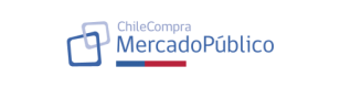 bracace.cl chile compra mercado publico bracace.cl chile compra mercado publico